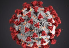 12032020_Coronavirus what no one is talking about