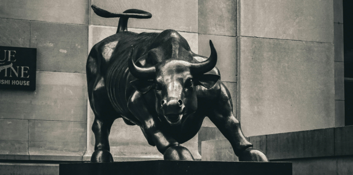 Has the bull run its course?