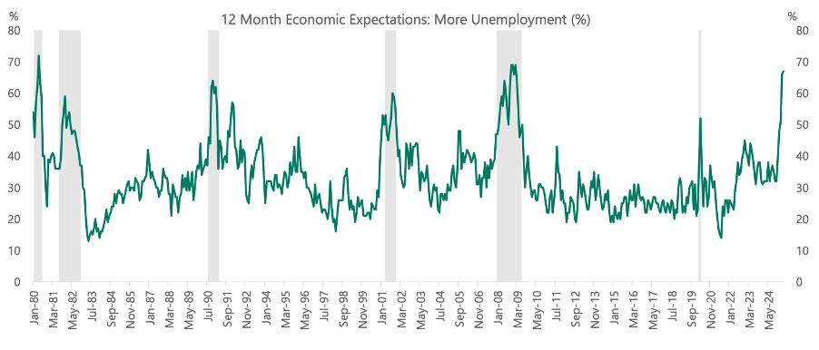 Figure 10. Consumers very worried about job losses