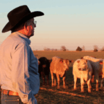 Cattle farmer