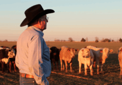 Cattle farmer