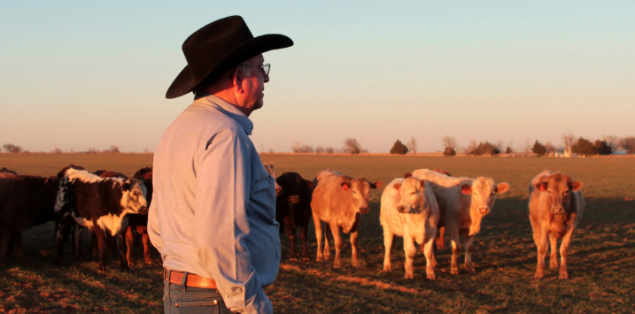 Cattle farmer